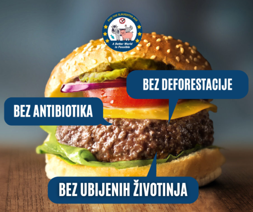 biljni burger [ 678.19 Kb ]