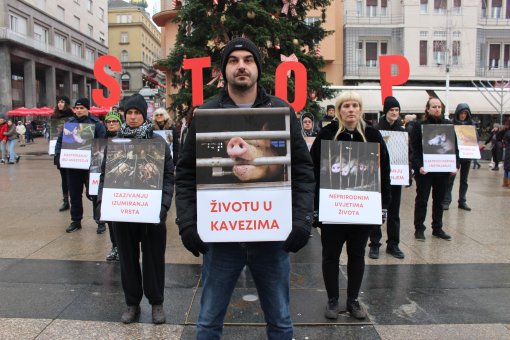 International Animal Rights Day 2023 [ 1.54 Mb ]