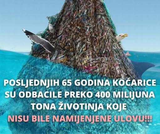 zabrana ko�a [ 275.77 Kb ]