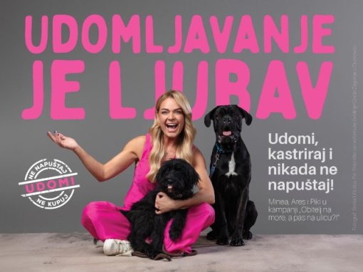 minea vizual udomljavanje je ljubav [ 61.24 Kb ]