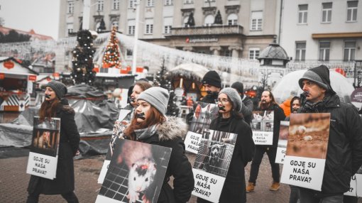 Animal rights day- Photos by David Ramms [ 139.66 Kb ]