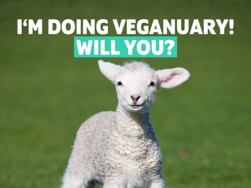 veganuary [ 190.34 Kb ]