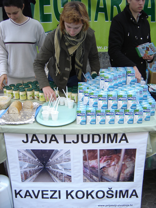 Vegetarianism against bird flu 4