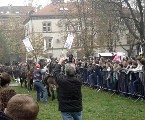 Zagreb - pokusi s konjima 1