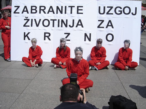 Suffocation for profit (1)