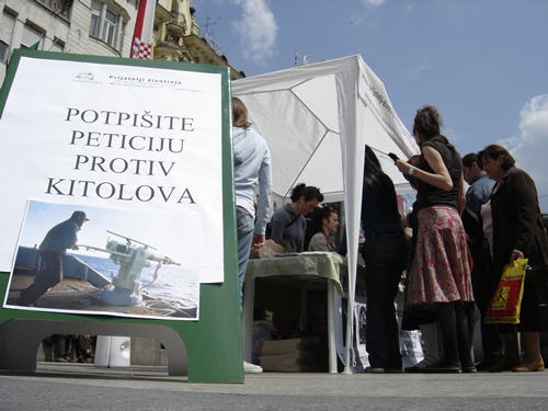 Kit koji moli za spas svoje vrste 2