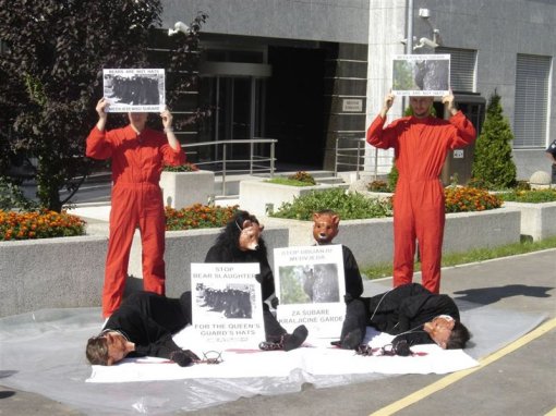 Indefensible Cruelty 2