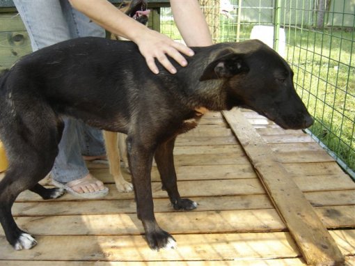 Berta 2 [ 105.21 Kb ]