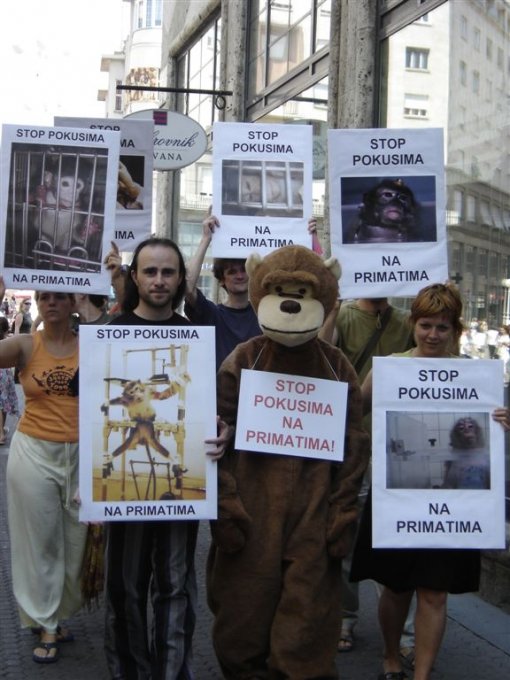 Stop experiments on primates 4