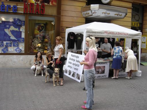 Kastracija spa�ava �ivote3 [ 154.34 Kb ]