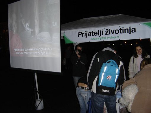 Video projekcija o pravima �ivotinja5 [ 62.16 Kb ]