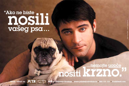 visnjic_hr_jumbo [ 72.08 Kb ]