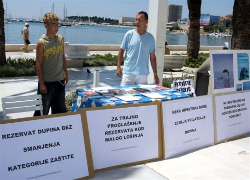 World whale and dolphin day Split 1