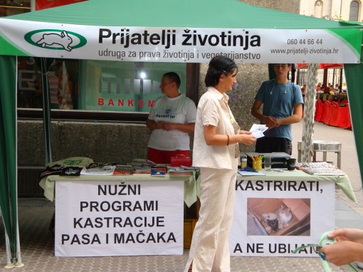 Spay/neuter 2 [ 1.40 Mb ]
