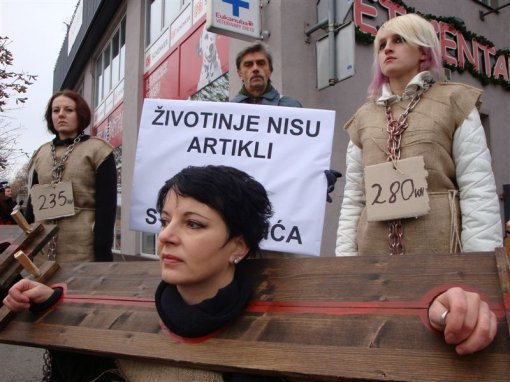 Protest in front of Pet Center 5 [ 104.00 Kb ]