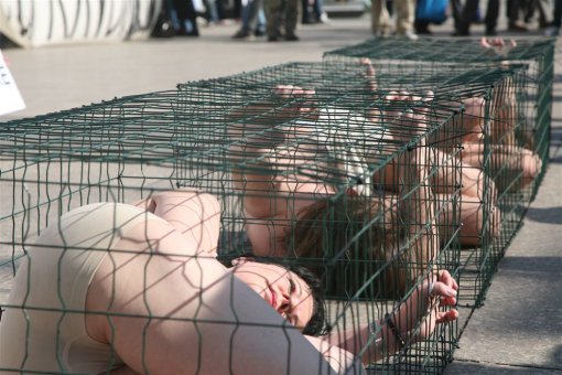 Anti-fur protest Zagreb 2009 g [ 147.02 Kb ]