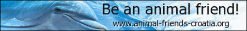 Be an animal friend! - eng