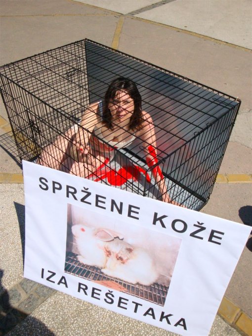 Akcija Spr�eni iza re�etaka 4 [ 176.84 Kb ]