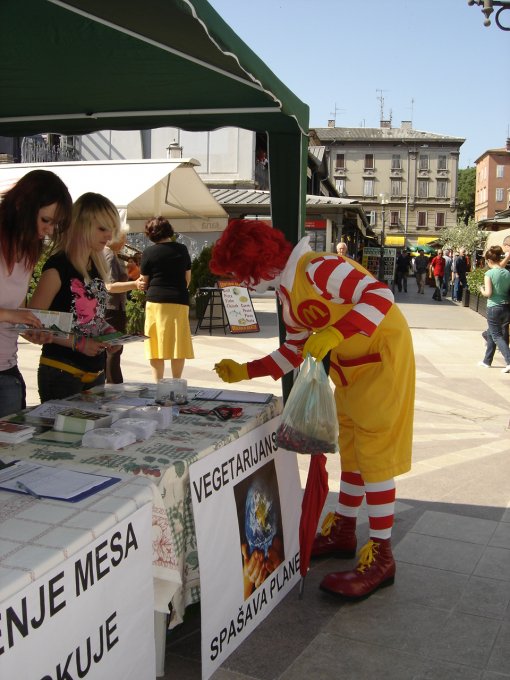 Jo� jedna neugodna istina, Pula [ 570.48 Kb ]