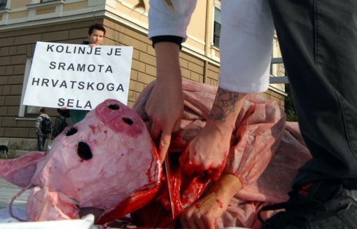 Kolinje, Slavonski Brod 2009 (Foto: Ivica Galovi�/PIXSELL) [ 78.12 Kb ]
