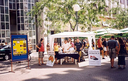 klokani_stand1