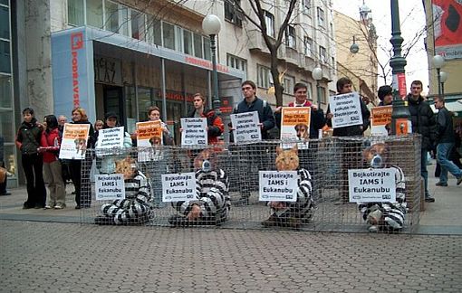 iams_zagreb1