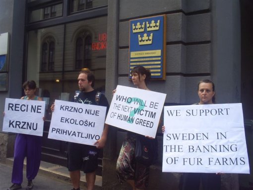 Demo in front of the Swedish Embassy 2 [ 74.61 Kb ]