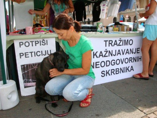 Akcija kastracija Zagreb 5 [ 91.14 Kb ]