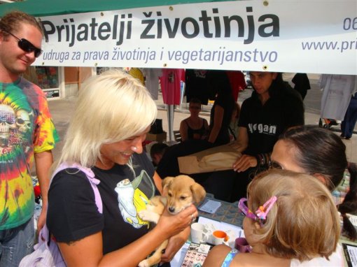 Akcija kastracija Rijeka 1 [ 108.34 Kb ]