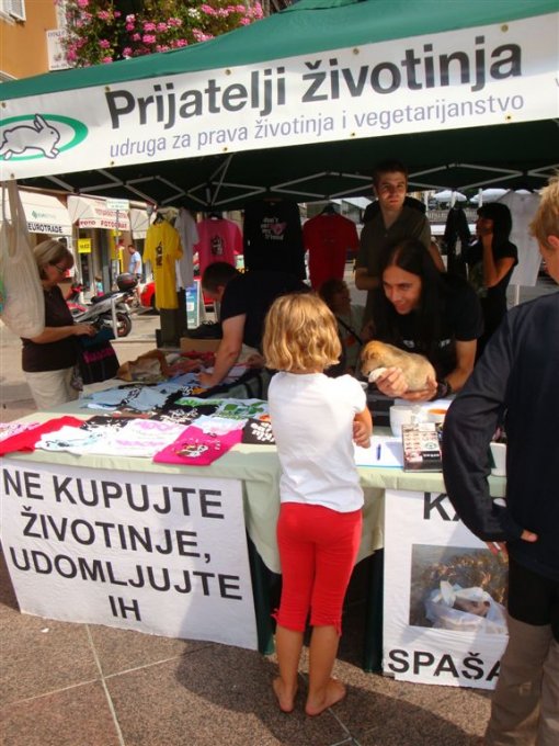 Akcija kastracija Rijeka 2 [ 111.81 Kb ]