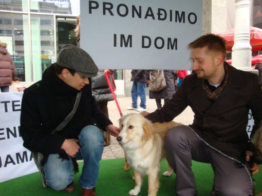 Prona�imo im dom3 [ 71.31 Kb ]