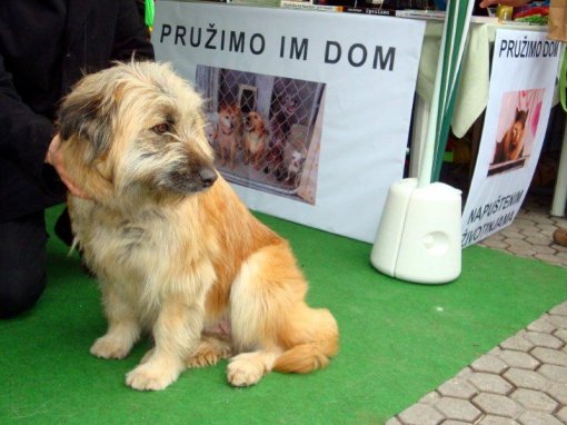 Prona�imo im dom4 [ 78.96 Kb ]