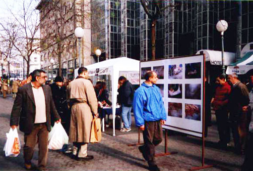 kolinje04b