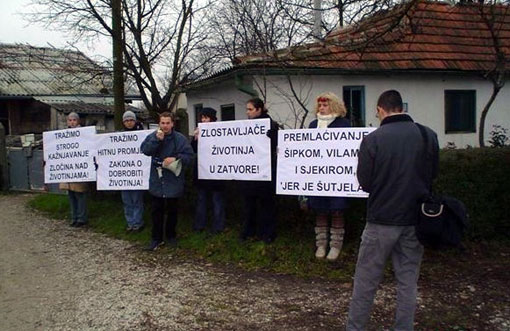 ostoja1
