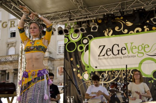 ZeGeVege 2012 [ 368.46 Kb ]