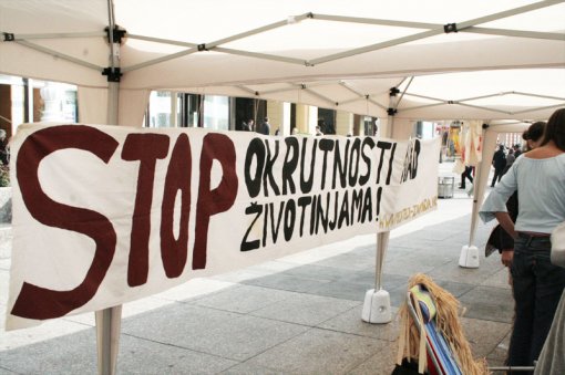 Svjetski dan za�tite �ivotinja [ 132.84 Kb ]