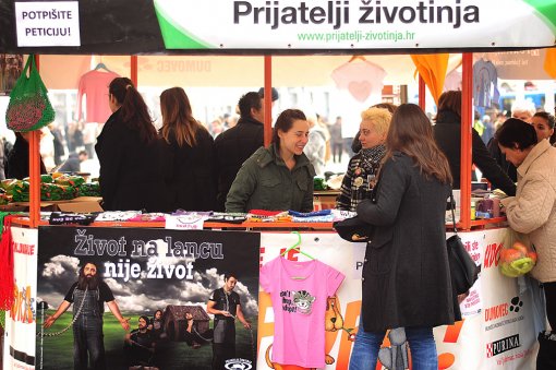 Udomljavanje je fora studeni 2012. [ 380.52 Kb ]