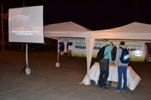 World Day for Farmed Animals 2013, photo: Viktoria Krcelic [ 82.23 Kb ]