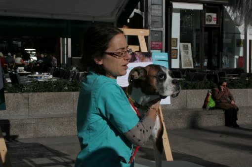 Spaying and neutering as a prevention for animal suffering [ 117.84 Kb ]