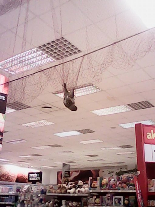 Konzum Senj
