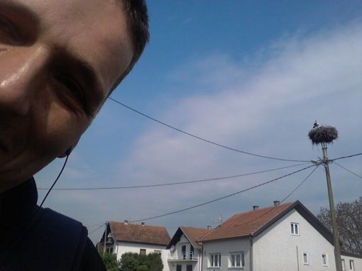Predivna mama roda bdije nad svojim malenima [ 38.29 Kb ]